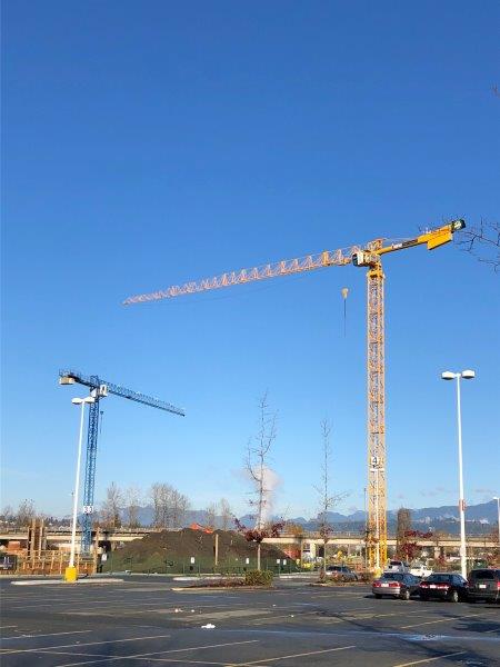 portable tower crane rental